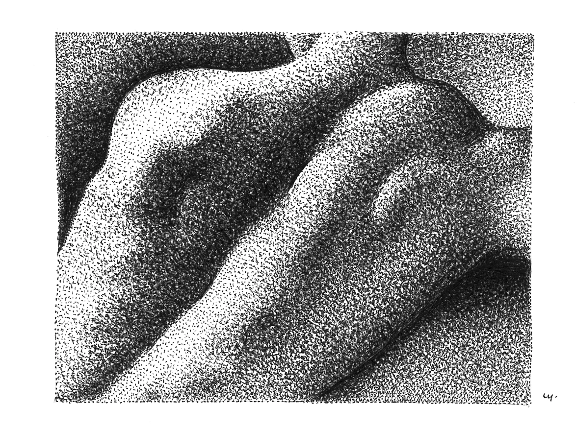 Cyrielle Gulacsy - 00100001