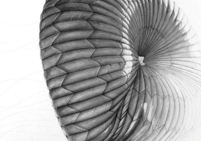 Cyrielle Gulacsy, drawing, illustration, ink, artwork, dots, dots drawing, arp244, cosmos, galaxy, alien, space, art, artist, paris, space, drawings, satellite, spacecraft, illustration, illustrator