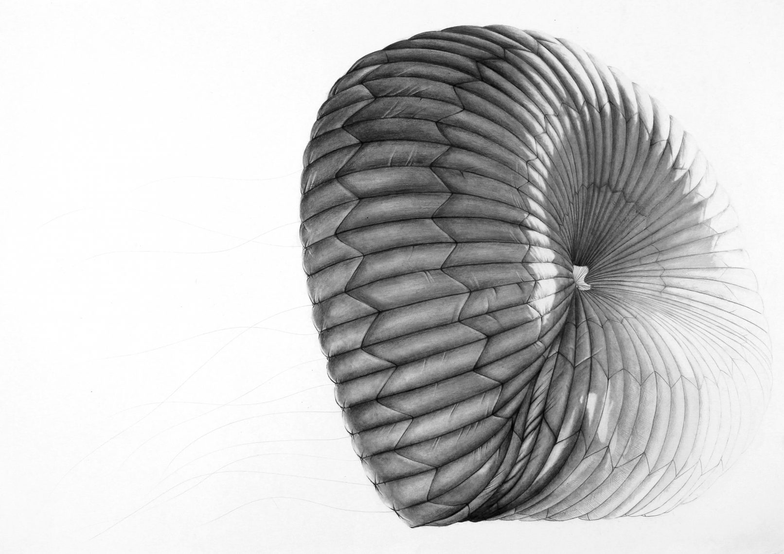 Cyrielle Gulacsy, drawing, illustration, ink, artwork, dots, dots drawing, arp244, cosmos, galaxy, alien, space, art, artist, paris, space, drawings, satellite, spacecraft, illustration, illustrator